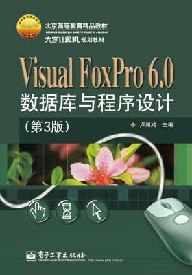 Visual FoxPro 6.0数