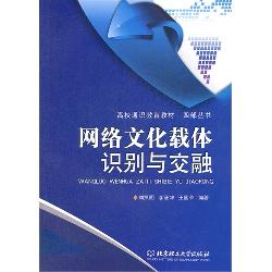 网络文化载体识别与交