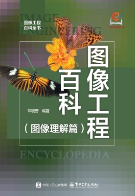 图像工程百科（图像理解