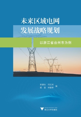 未来区域电网发展战略