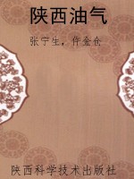 陕西油气