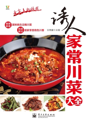 诱人家常川菜大全