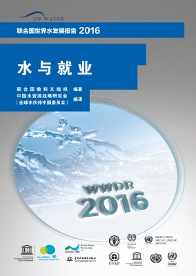 联合国世界水发展报告