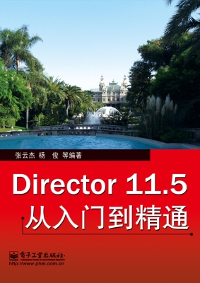 Director 11.5从入门
