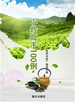 小炒高手100例