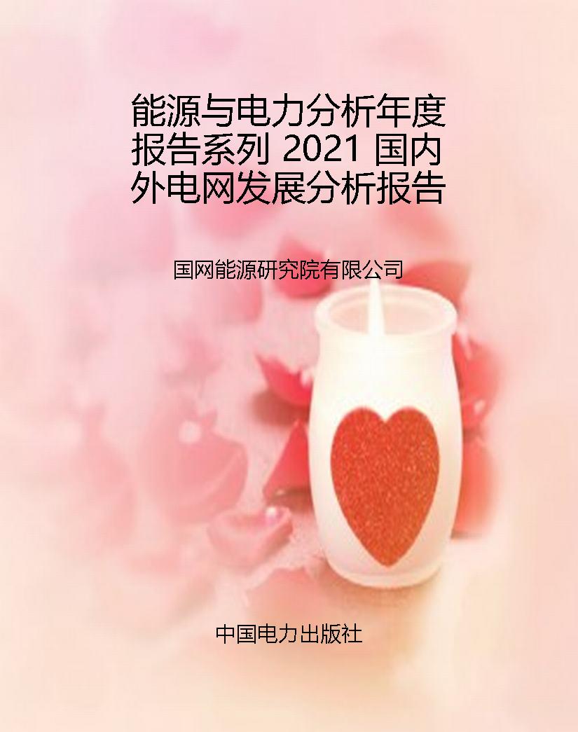 能源与电力分析年度报