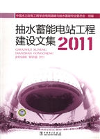 抽水蓄能电站工程建设
