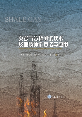页岩气分析测试技术及