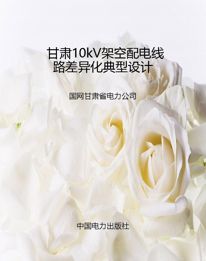 甘肃10kV架空配电线路