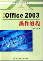 中文Office 2003 操作