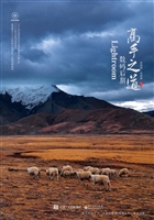 Lightroom数码后期高