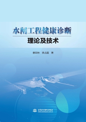 水闸工程健康诊断理论