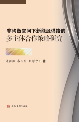 非均衡空间下新能源供