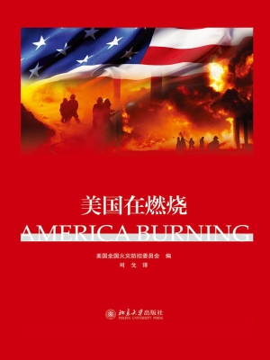 美国在燃烧