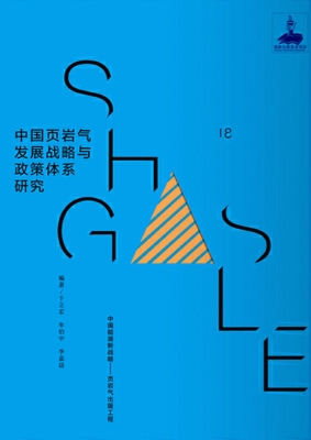 中国页岩气发展战略与