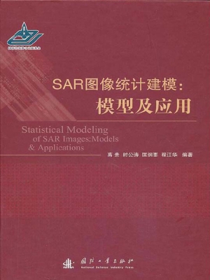 SAR图像统计建模：模型
