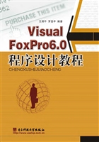 Visual FoxPro 6.0程