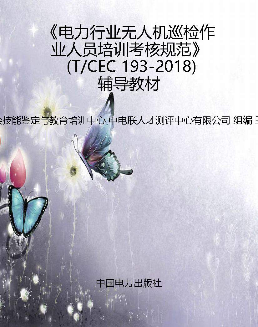 《电力行业无人机巡检