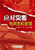应对灾害——电网危机
