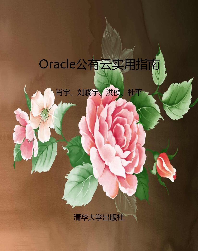 Oracle公有云实用指南