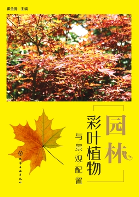 园林彩叶植物与景观配