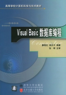 Visual Basic数据库编