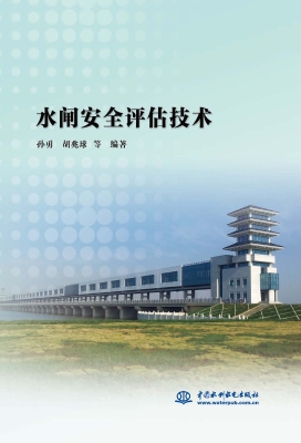 水闸安全评估技术