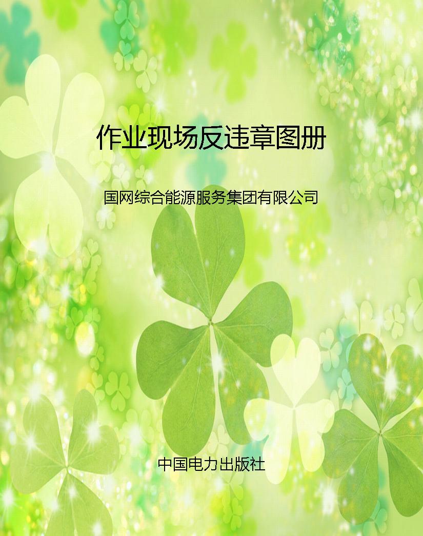 作业现场反违章图册
