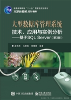 大型数据库管理系统技