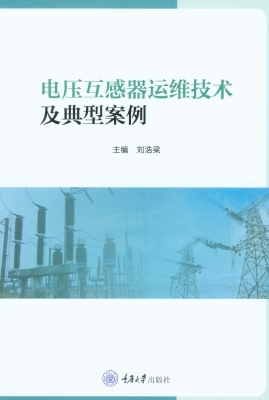 电压互感器运维技术及