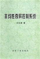 非线性奇异控制系统