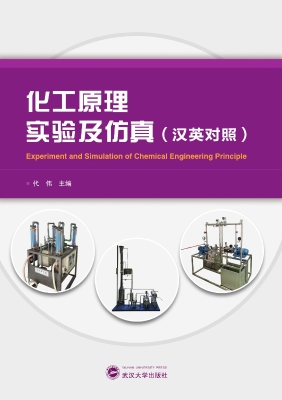 化工原理实验及仿真（汉