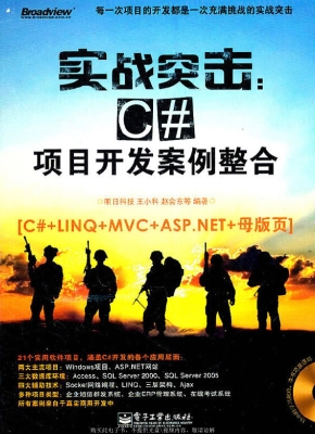 实战突击：C#项目开发案