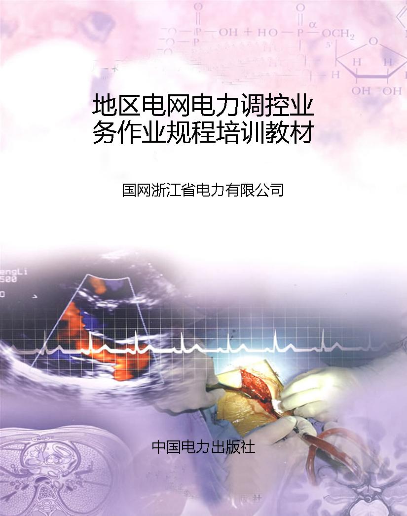 地区电网电力调控业务