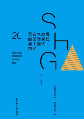 页岩气发展的国际实践