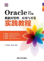 Oracle 12c中文版数据