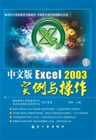 中文版Excel 2003实例
