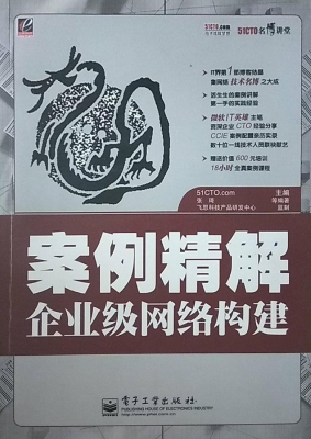 案例精解企业级网络构