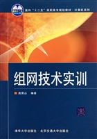组网技术实训
