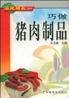 巧做猪肉制品