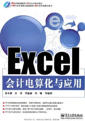 Excel会计电算化与应