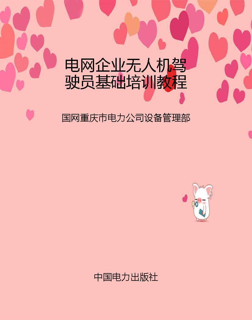 电网企业无人机驾驶员