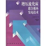 增压流化床联合循环发