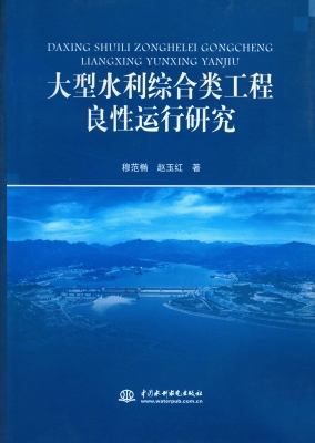 大型水利综合类工程良