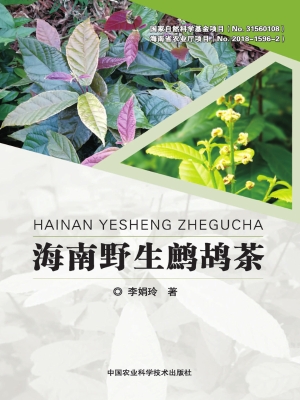 海南野生鹧鸪茶