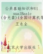 公共基础知识和Visual