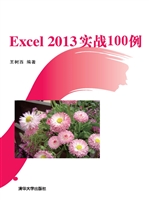 Excel 2013实战100例