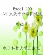 Excel 2003中文版专业