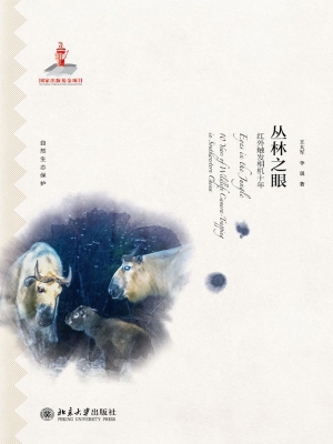 丛林之眼——红外触发