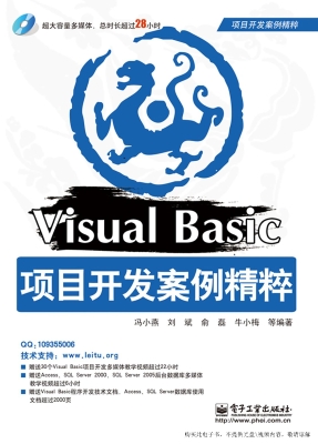 Visual Basic项目开发